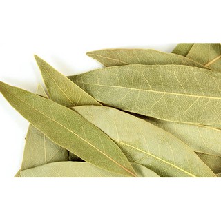 250g Lá nguyệt quế làm gia vị rất thơm