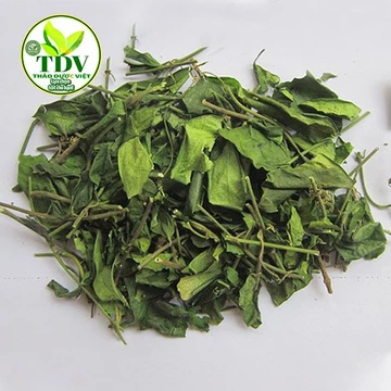 1kg Dây thìa canh lá to ổn định đường huyết Hàng công ty Thảo Dược Việt