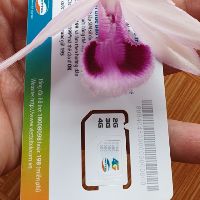 sim0983200000