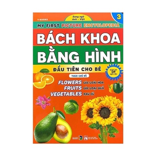 Sách - Bách khoa bằng hình đầu tiên cho bé theo chủ đề bộ 5 cuốn - song ngữ Anh Việt - Đại Mai