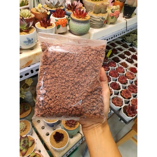 ĐÁ RÃI MẶT/TRỘN GIÁ THỂ DÀNH CHO SEN ĐÁ VÀ XƯƠNG RỒNG (TÚI 500GR), MASATO (1KG)