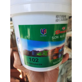 Sơn màu ngoại thất beauty hộp 1l tương đương 1.4 kg, hoặc hộp 4l nhiều màu sắc tùy chọn
