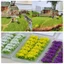 PWSSEND 14 Chiếc Tổ Hoa DIY Micro Phong Cảnh Hướng Dẫn Sử Dụng Chất Liệu Bàn Cát