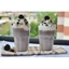 FREESHI/Kem topping Creamywhip 1kg/UỐNG LÀ MÊ
