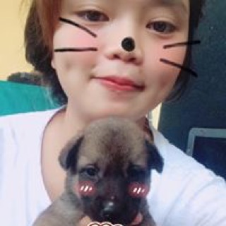trang141195
