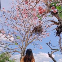 quynhquynhaanh