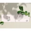 Card cảm ơn, Thank you card, Thiệp cảm ơn khách hàng cho các shop, mẫu vintage có sẵn
