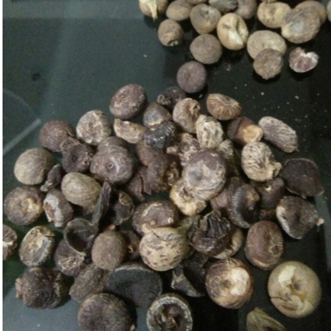 Bình lang hay còn gọi là Hạt cau khô thượng hạng JINDO 1kg