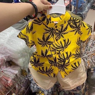 Bộ cộc bé trai, bộ đũi áo sơ mi bé trai, bộ mở cúc bé trai, bộ du lịch bé trai