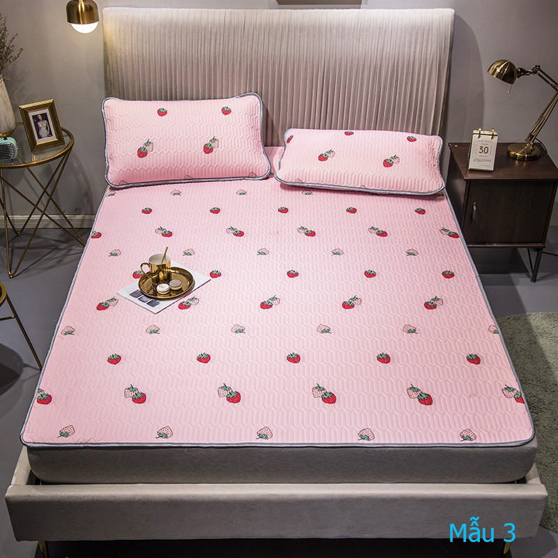 (FreeShip) CHIẾU ĐIỀU HÒA TENCEL MỦ SAO SU NON ( ĐƯỢC CHỌN MẪU )