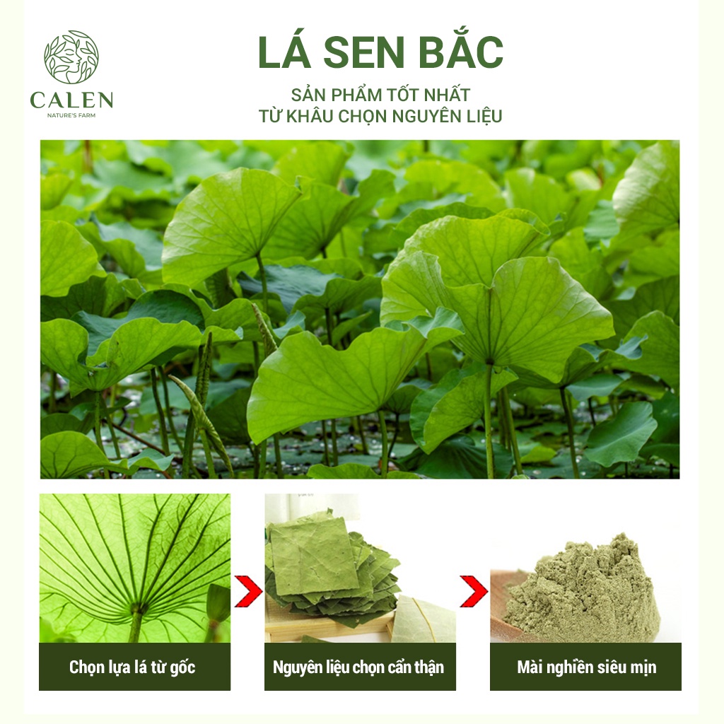 Mặt nạ lá sen CALEN đắp mặt nguyên chất giúp tẩy da chết dưỡng trắng da (Mask bột lá sen)