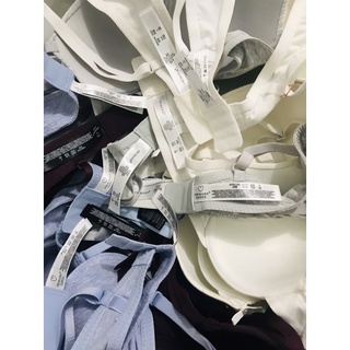Áo Ngực Cotton Xuất Xịn (SIZE ÂU)