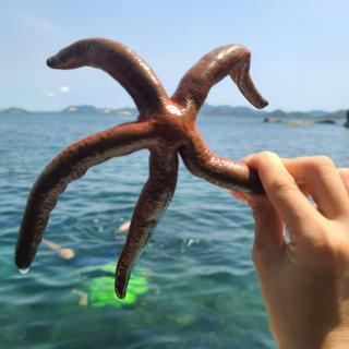 tuongvinguyen14