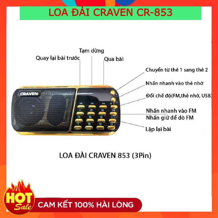 Giới thiệu về Loa Craven CR-853