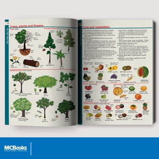 Sách - Từ điển Anh-Anh-Việt dành cho học sinh - MCBooks