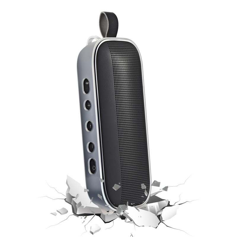 Vỏ TPU Bảo Vệ Loa Bose Link Flex Có Dây Đeo Vai