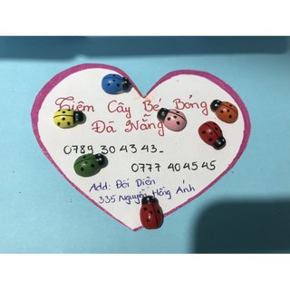 Combo 5 bọ tiểu cảnh mini