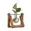 Bình hoa thủy canh YUUKII Trang trí nội thất Cây cảnh Terrarium Để bàn Chậu hoa