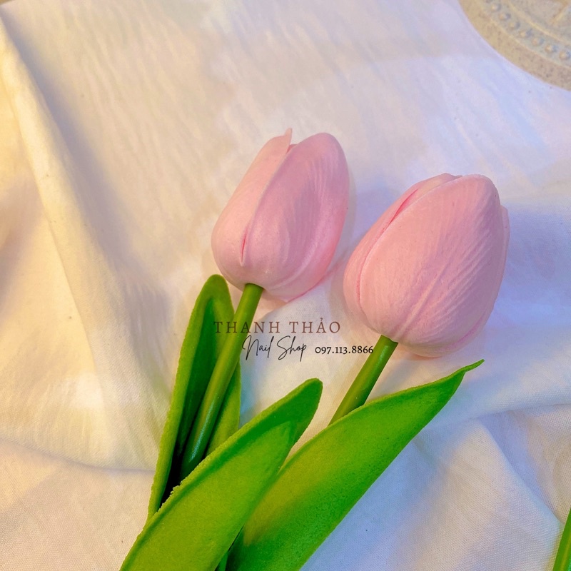 Hoa tulip: Hãy cùng ngắm nhìn loài hoa tulip đẹp tuyệt của châu Âu. Với những cánh hoa cong cong, những màu sắc tươi vui và khoảng cách giữa những bông hoa, chắc chắn sẽ khiến bạn say đắm.