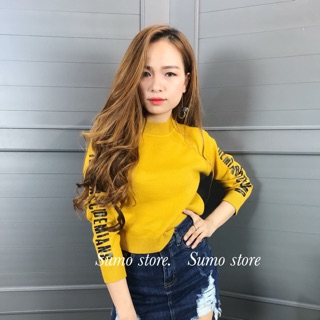 vn0116_21811