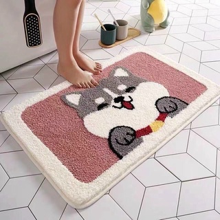 Thảm Chùi Chân Thảm Lau Chân Thảm Len Mịn Chống Trượt 40x60cm