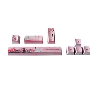8PCS PBT Five sides Dye-subbed keycap ESC Enter Direction for Key OEM Profile Ke
