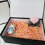 Hộp quà size to Gift for you đựng giày dép, túi xách, quần áo,hộp quà bất ngờ, kèm phụ kiện lãng mạn