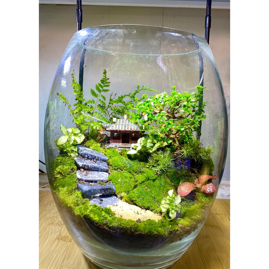 Đá tự nhiên trang trí bậc thang terrarium (15-20vien)