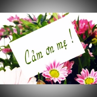 c.sinh