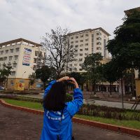 thuvinhbaohaiphong
