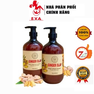 Cặp Dầu Gội Xả Gừng tươi Ginger Olap 800ml x2