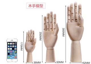 Hình nhân gỗ - Trưng bày - Mô hình Luyện vẽ Anatomy