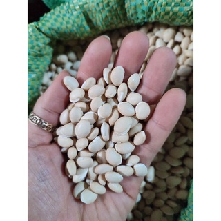 500gr Đậu ván nhà trồng hạt tròn đẹp