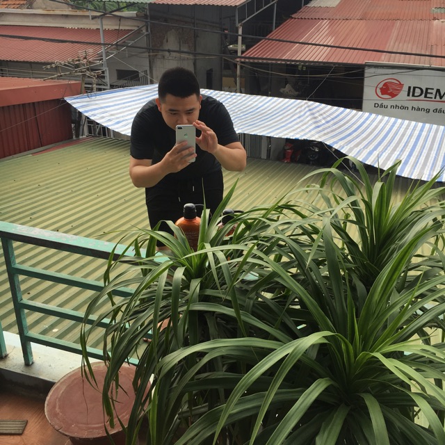 cặp dầu gội - xả mỡ ngựa của Nhật