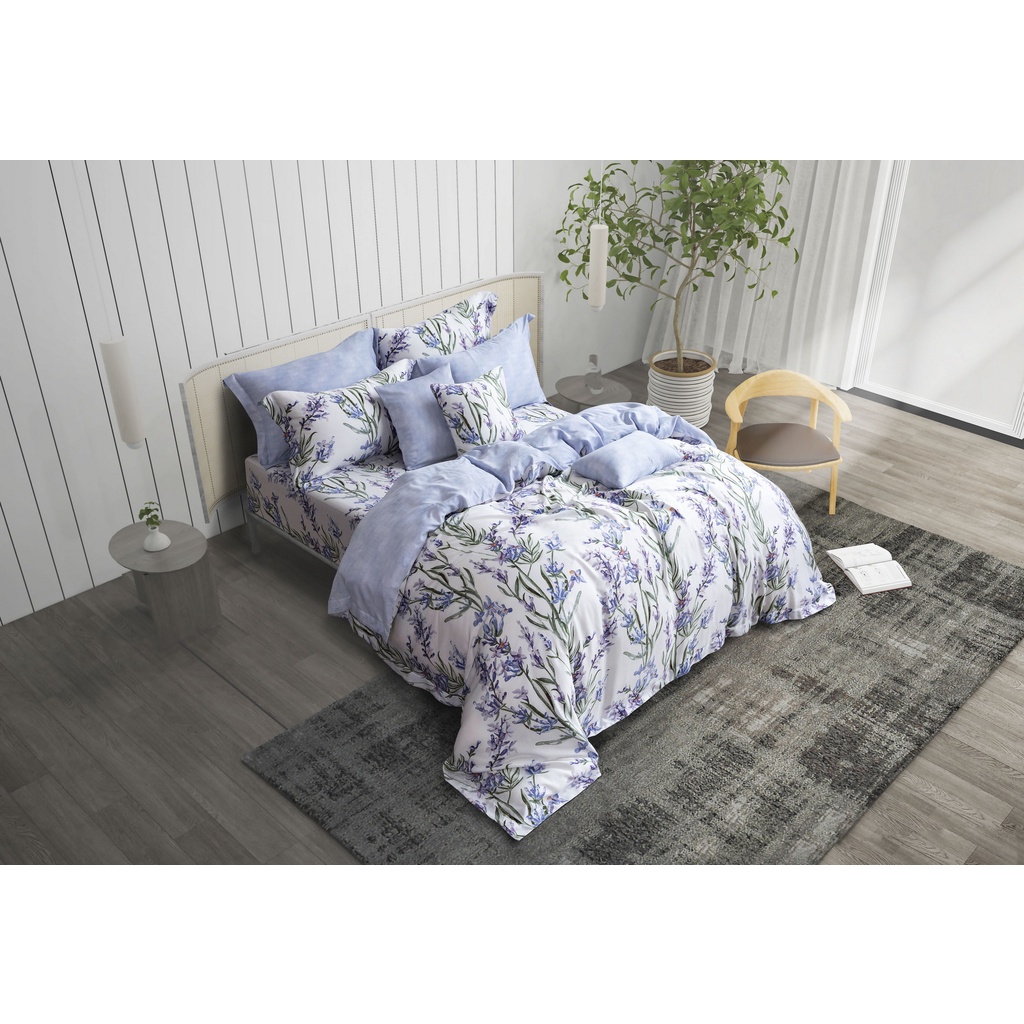Ảnh Bộ Ga và kèm Vỏ Chăn Akemi Tencel Modal Ardent Sebelas, gồm 6 món (Super King/King/Queen) 3
