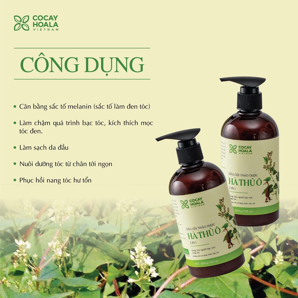 Mô tả Dầu Gội Thảo Dược Hà Thủ Ô 2in1 Cỏ Cây Hoa Lá 300g - Giảm Gãy Rụng, Dưỡng Tóc Chắc Kh - 3