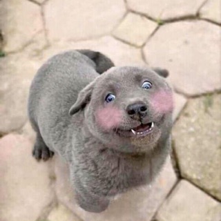 manhahaa