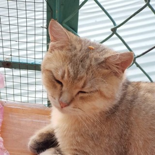 thuylinh1234578910