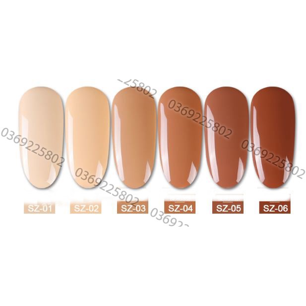 Sơn gel AS set 6 màu nâu sữa SZ