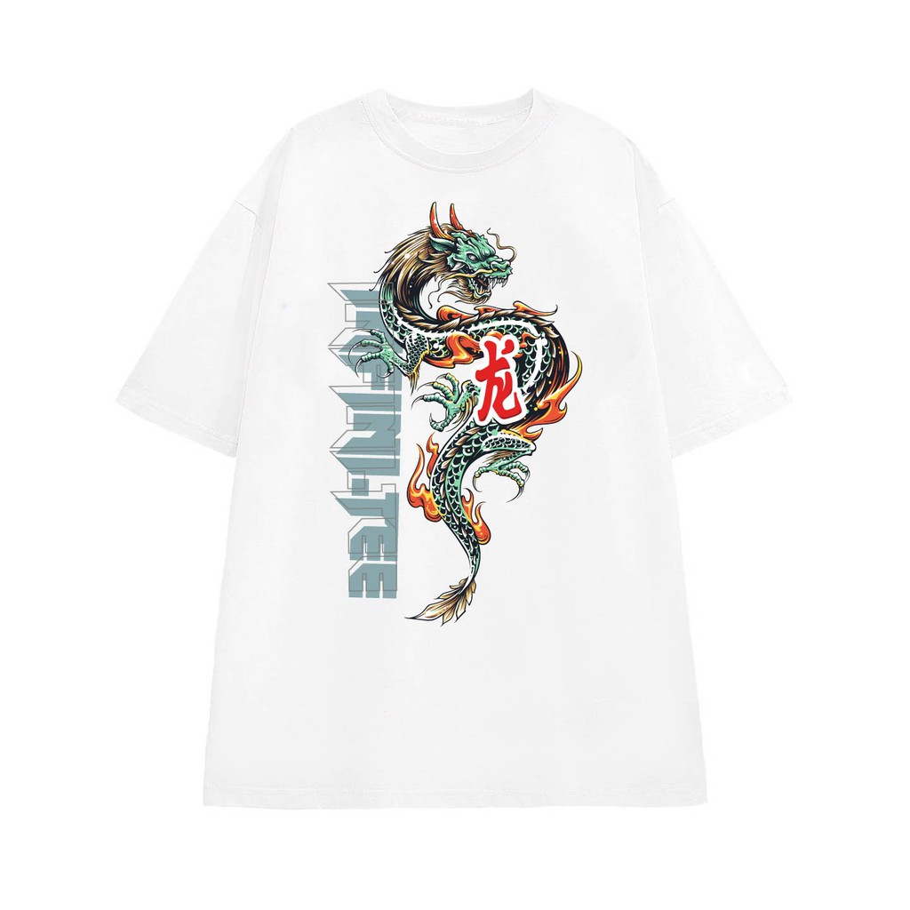 Áo thun INFINITEE Fni0136, Thun 100% Cotton - form rộng Unisex.