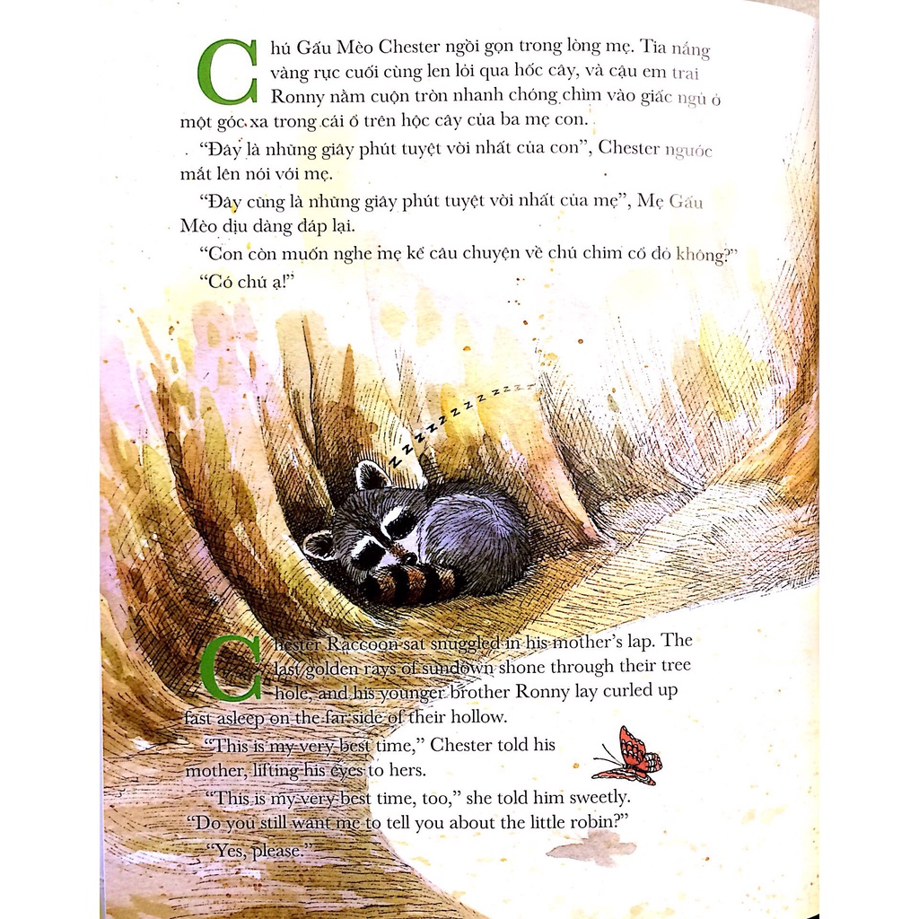 Ảnh Sách - Ehon Song ngữ Chester Dũng Cảm - Chester The Brave (Tái Bản 2021) 1