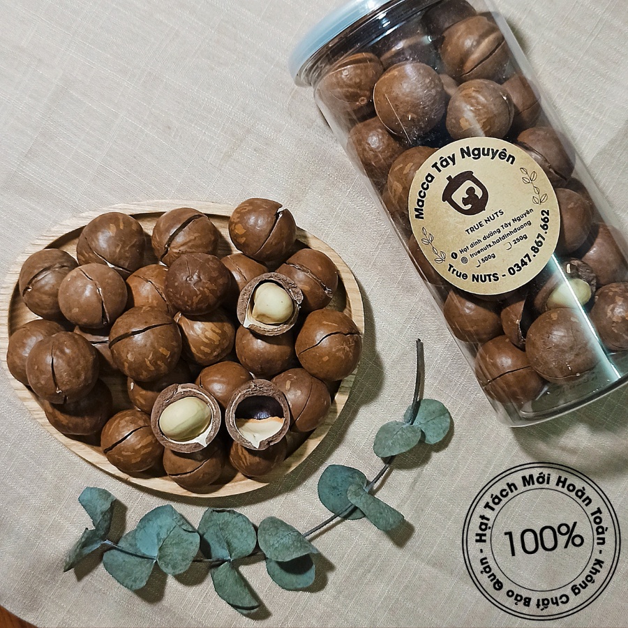 Hạt Macca Tây Nguyên (Hộp 500g) | Shopee Việt Nam