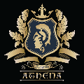 athenacasestore