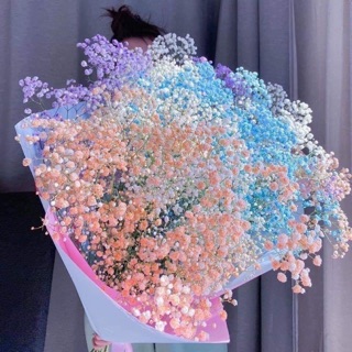 phung_nguyen_