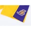 Bộ Quần Áo Bóng Rổ Los Angeles Lakers - Màu vàng – Mẫu 2022 – Trang phục thi đấu bóng rổ NBA HOT