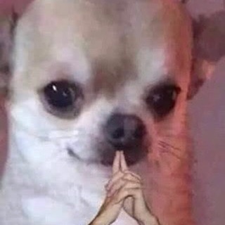 yenlinh_00