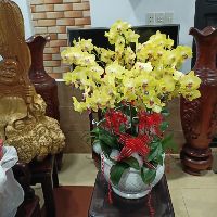 jooeun259