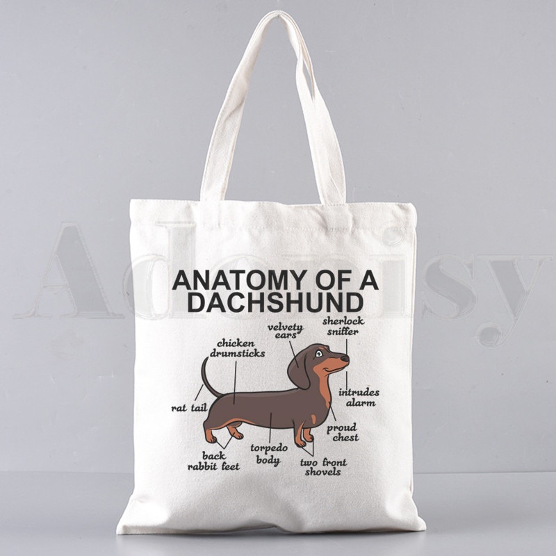 Túi Xách Đeo Vai Vải Canvas In Chữ Dachshund Vui Nhộn Thanh Lịch Cho Nữ