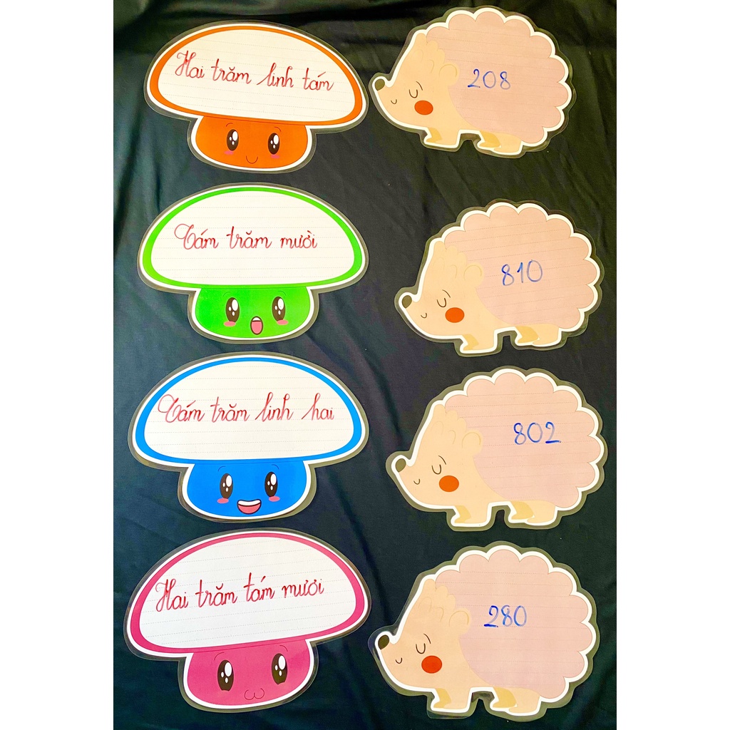 Bộ Nhím & Nấm Đáng Yêu (Đồ Dùng Dạy Học MIKI)