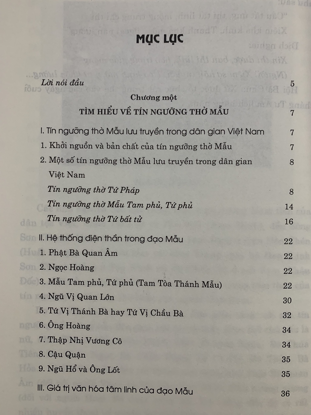 Mô tả Sách - Phong Tục Dân Gian - Nghi Lễ Thờ Mẫu - 2